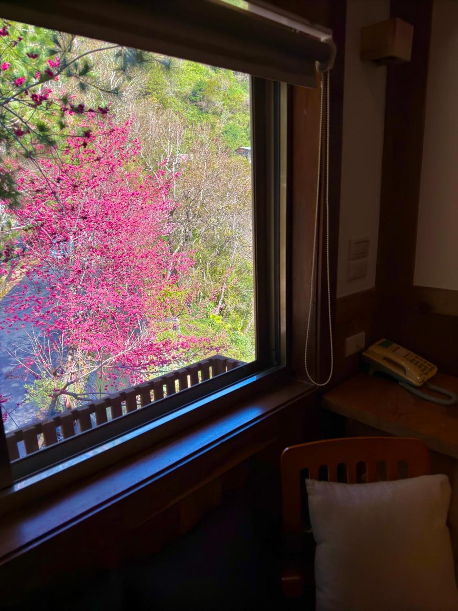 Tian Hsiang Tea B&B Ren’ai Pokój zdjęcie